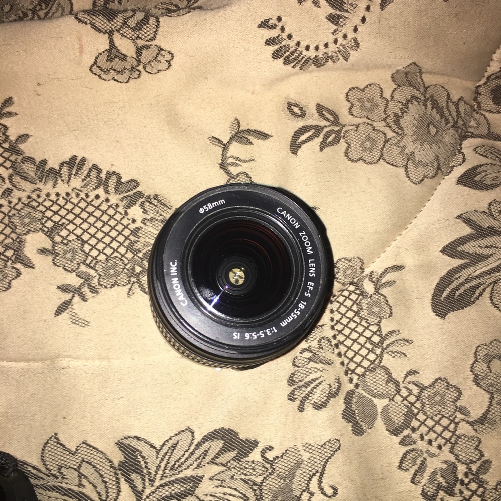 Canon Dslr - Picture 6 of 8